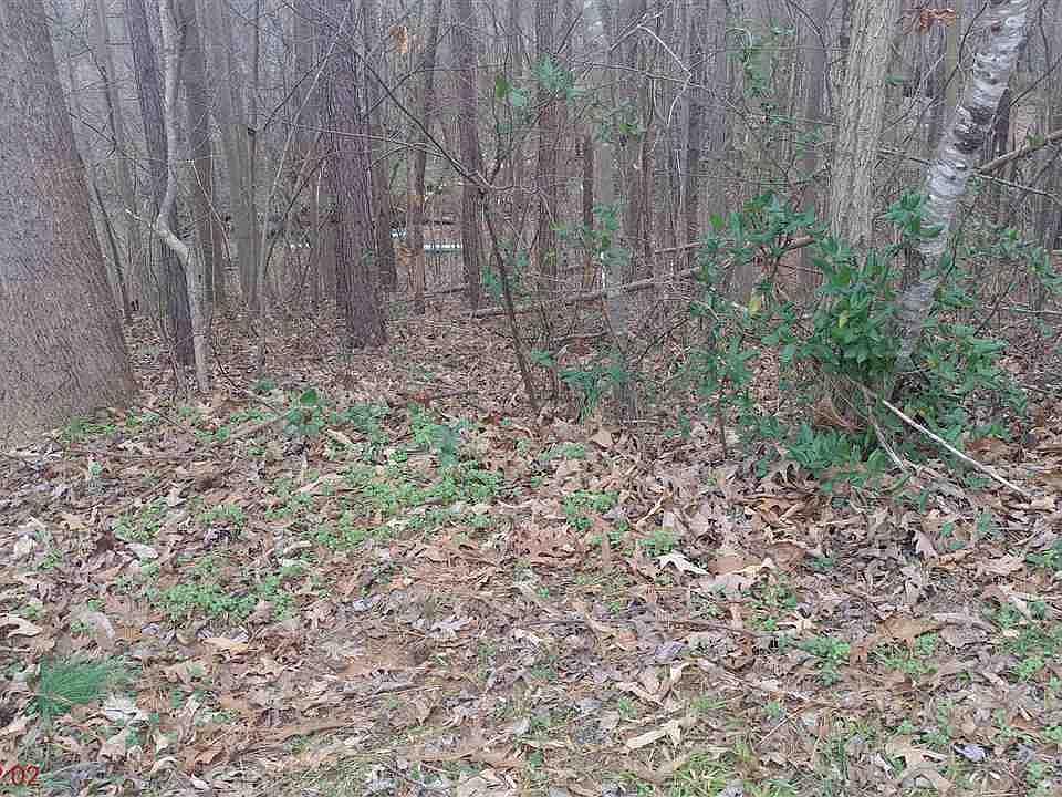 2nd image of 86 Sleepy Creek Dr