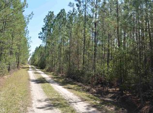 0 Red Bug Rd, Ellabel, GA 31308