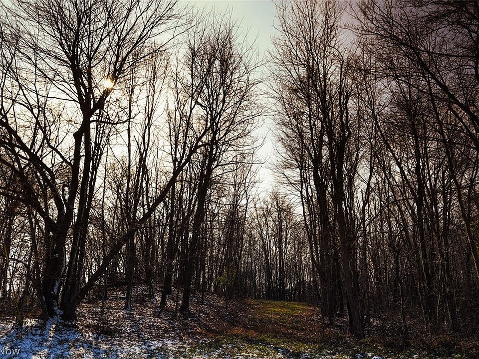2nd image of 22 County Rd