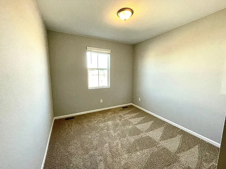 1733 Dancing Cattail Dr — Photo 17