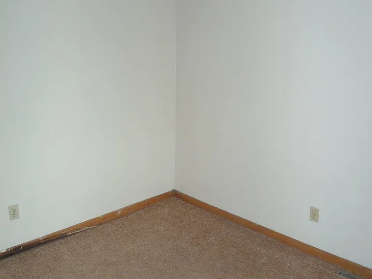 733 Ashland Ave #5 — Photo 5