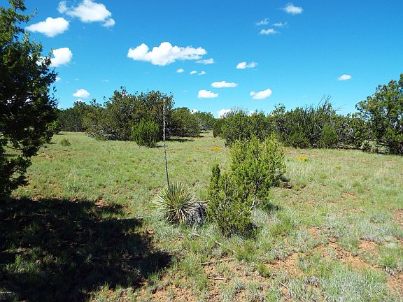 3rd image of Tbd Acr N8163