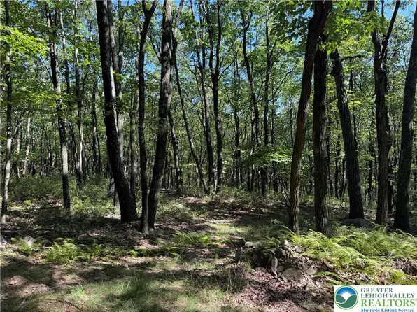 14 Berry Ln, Jim Thorpe, PA 18229