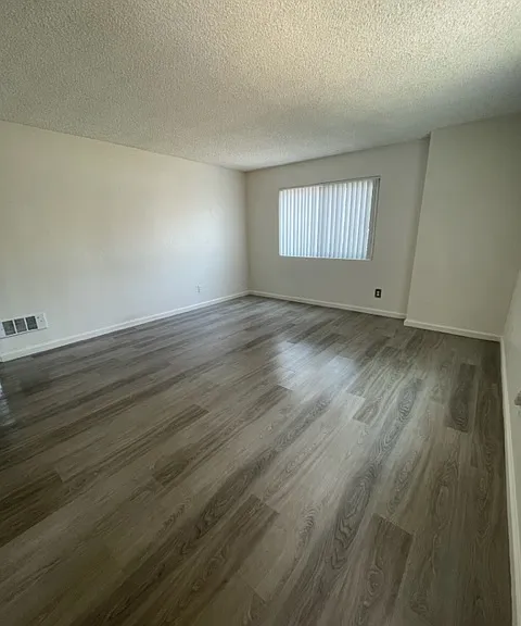 Lisa Manor — Photo 10