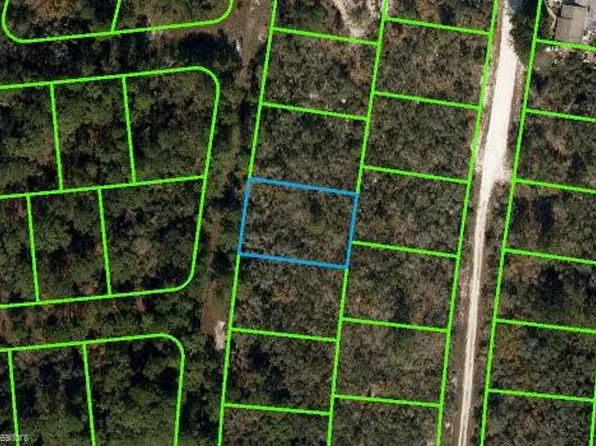 317 Dreamers Dr, Lake Placid, FL 33852