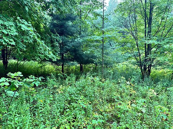 5th image of 1.8 Brigham Rd #8