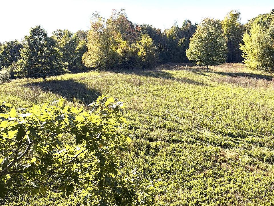 2nd image of McCain Rd