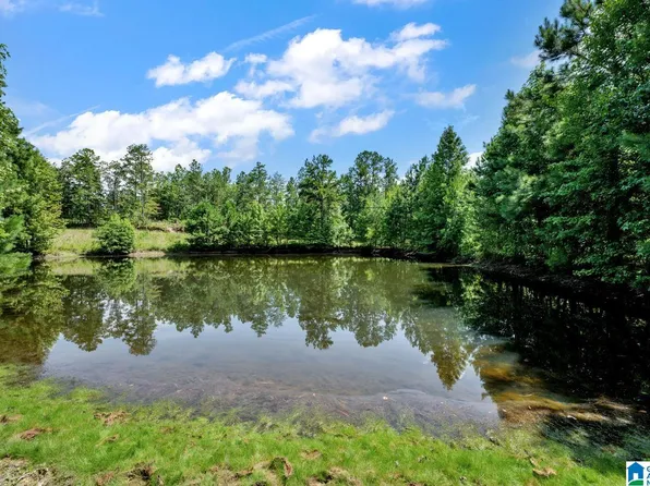 587 Mountain Dr, Remlap, AL 35133