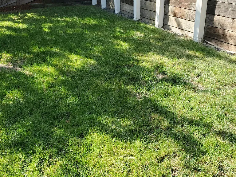 2nd level backyard greenspace