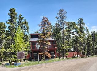 101 Gap Rd, Black Hawk, CO 80422