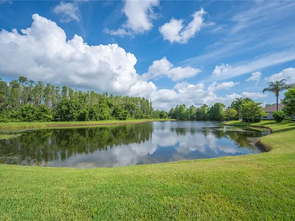 19443 Everton Pl, Land O Lakes, FL 34638