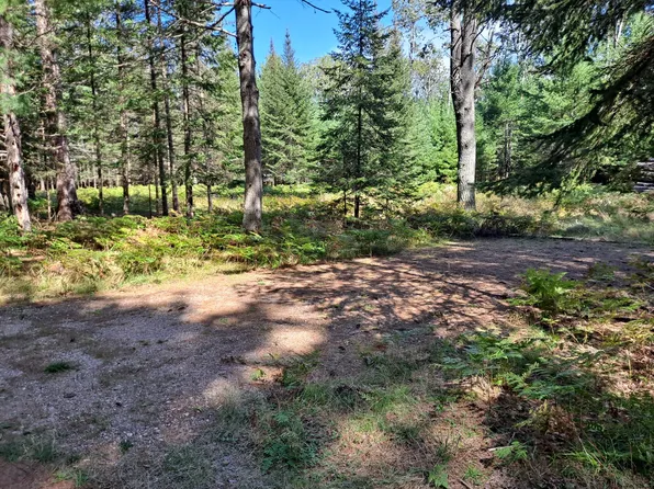 8192 Northwood Dr, Saint Germain, WI 54558