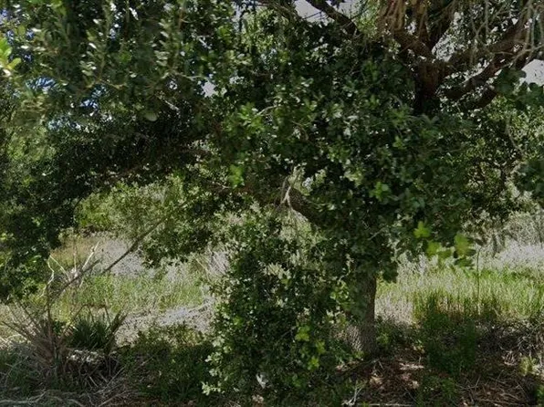 927 Grafton ST, LEHIGH ACRES, FL 33974