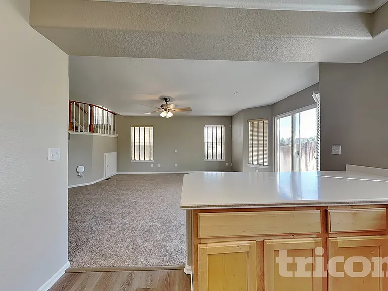 4836 Ireland Ct — Photo 8