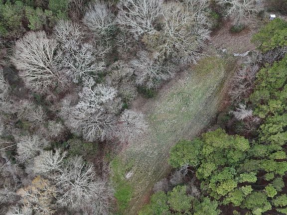 Established food plots throughout
