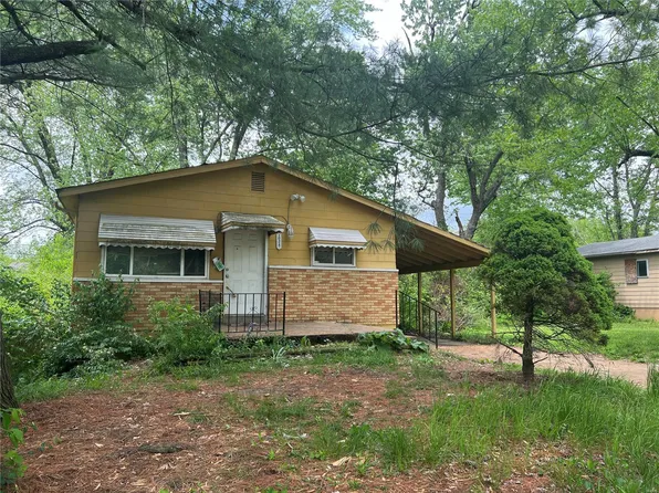 10317 Baron Dr, Saint Louis, MO 63136