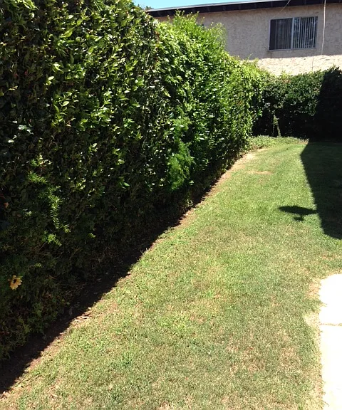 South Magnolia Villas - E — Photo 24