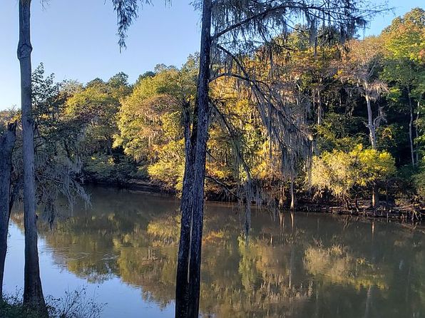 29 Riverview Dr, Hawkinsville, GA 31036