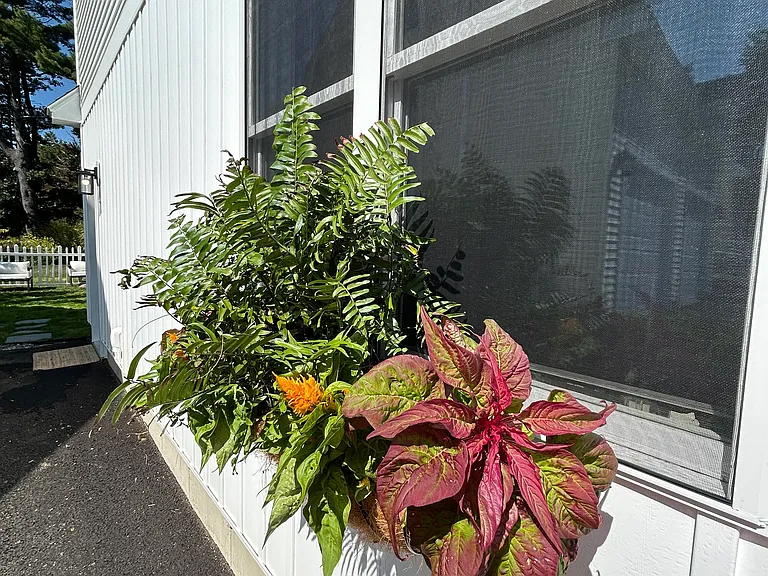 38 Plaisted Rd — Photo 7