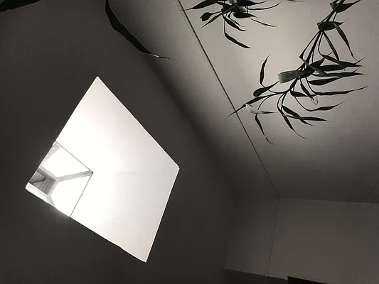 Rented by Evergreen Realty & Investments | media 24