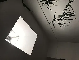 Rented by Evergreen Realty & Investments