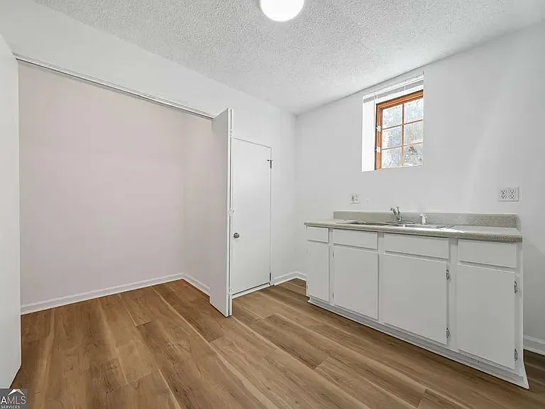 Downstairs closet and sink