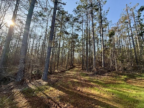 3rd image of 0 County Road 500