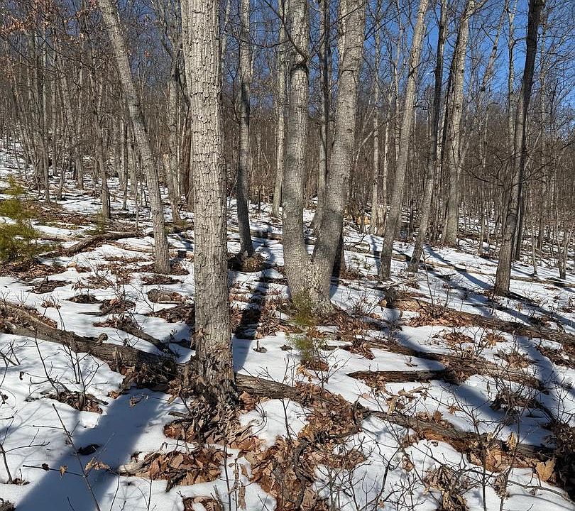 1st image of 1706 Mercer Rd