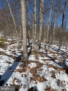 1706 Mercer Rd, Haymarket, VA, 20169