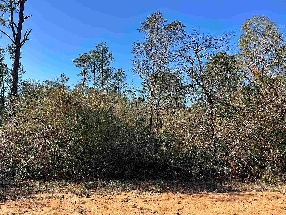 1st image of Apalachicola Ave