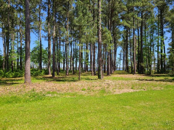 3 Gray Goose Dr #3/3A, Aurora, NC 27806