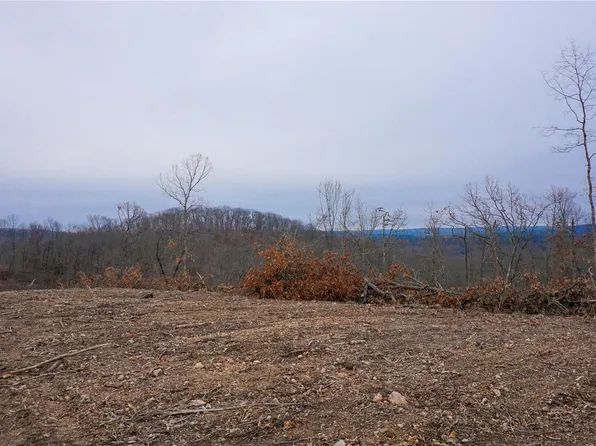 0 State Route D, Dixon, MO 65459