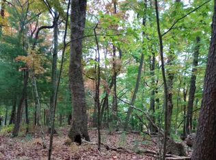 Johnson Dr, Blue Ridge, GA 30513