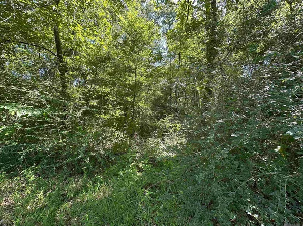 16051 Pride Port Hudson Rd, Pride, LA 70770