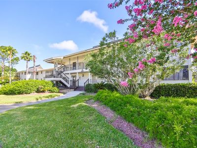 29129 S BAY HOLLOW DRIVE S #3213, Wesley Chapel, FL, 33543