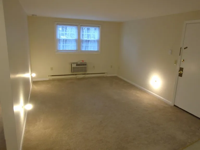 2 Lions Ave — Photo 8