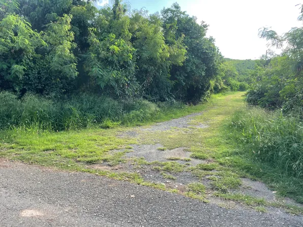 284 Cotton Valley EB, St. Croix, VI 00820