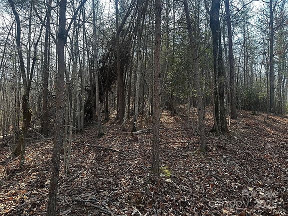 5th image of 0 Grassy Knob Rd