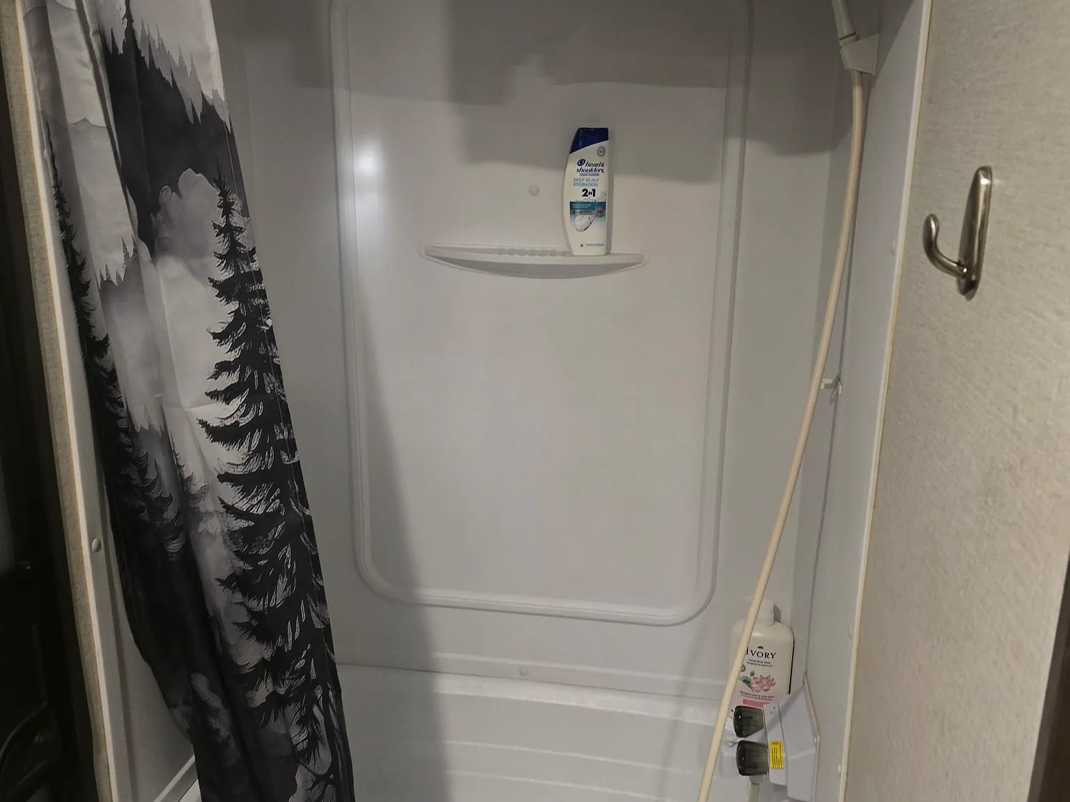 1 bed, 200 sqft, $1,000 — Photo 2
