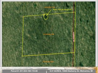 15600 Barberry Dr, Wolverine, MI 49799