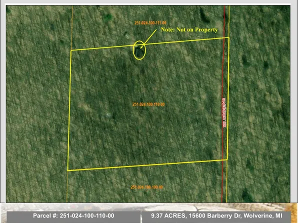 15600 Barberry Dr, Wolverine, MI 49799