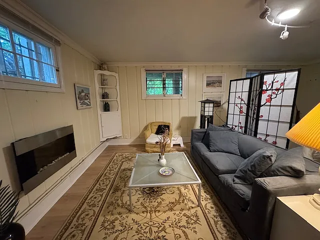 Living room with electric fireplace
