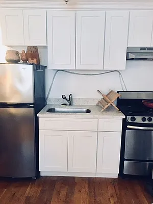 Rented by Borough Properties LLC | media 14