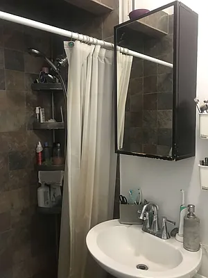 Rented by Dream NYC LLC | media 15