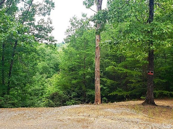 2nd image of 1702 Piney Dr Lot 1702