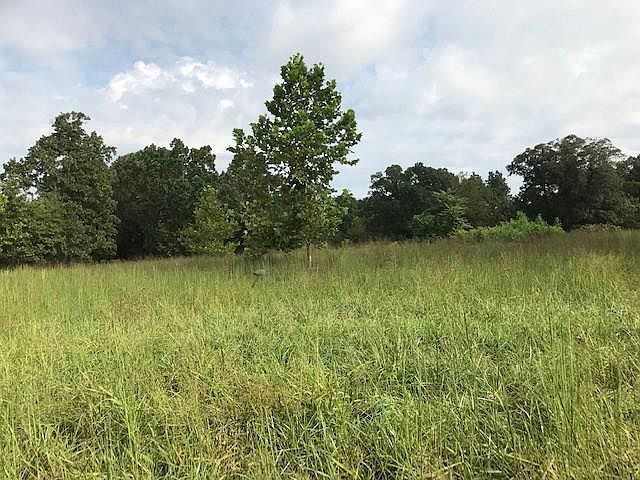 2nd image of 2637 Apple Rd