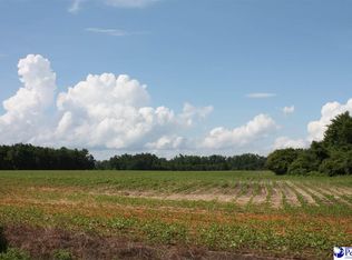 S Deerfield Rd, Johnsonville, SC 29555