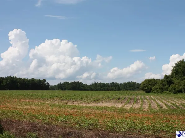 S Deerfield Rd, Johnsonville, SC 29555