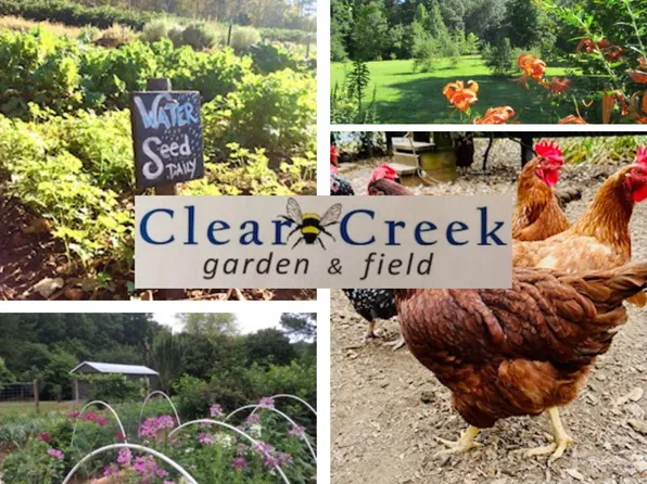 17109 Cabarrus Rd, Midland, NC 28107