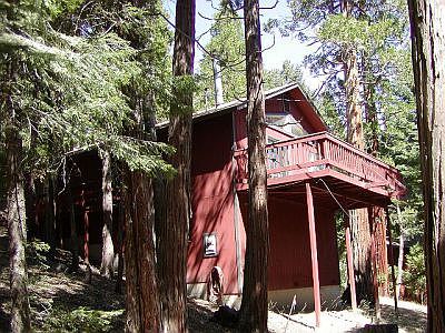 Nestled In The Trees